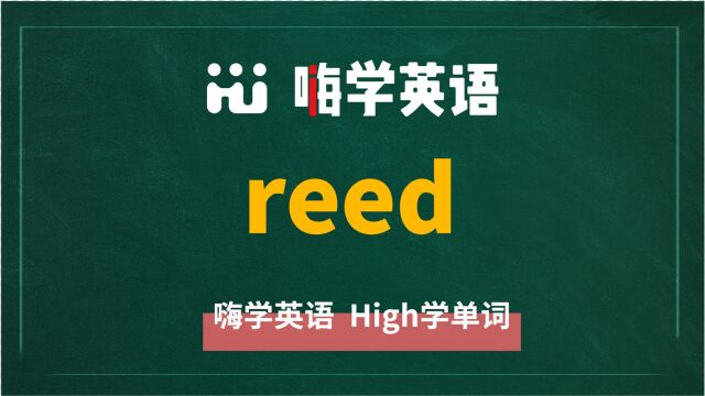 英语单词reed是什么意思,同根词有吗,同近义词有哪些,相关短语呢,可以怎么使用,你知道吗