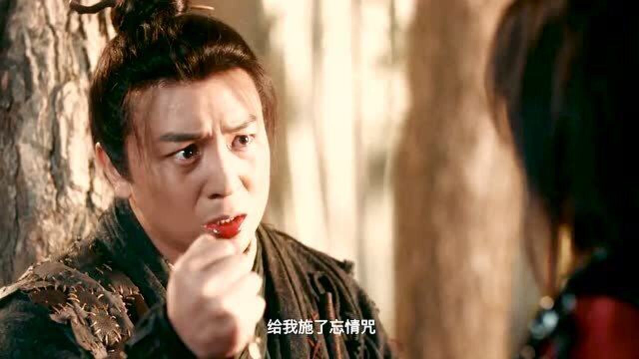 燕赤霞猎妖传燕赤霞被师傅施了忘情咒和心爱的人肝肠寸断