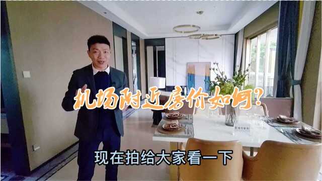 四川简阳机场附近,loft公寓和住宅的价格怎么样?贵不贵?来瞅瞅