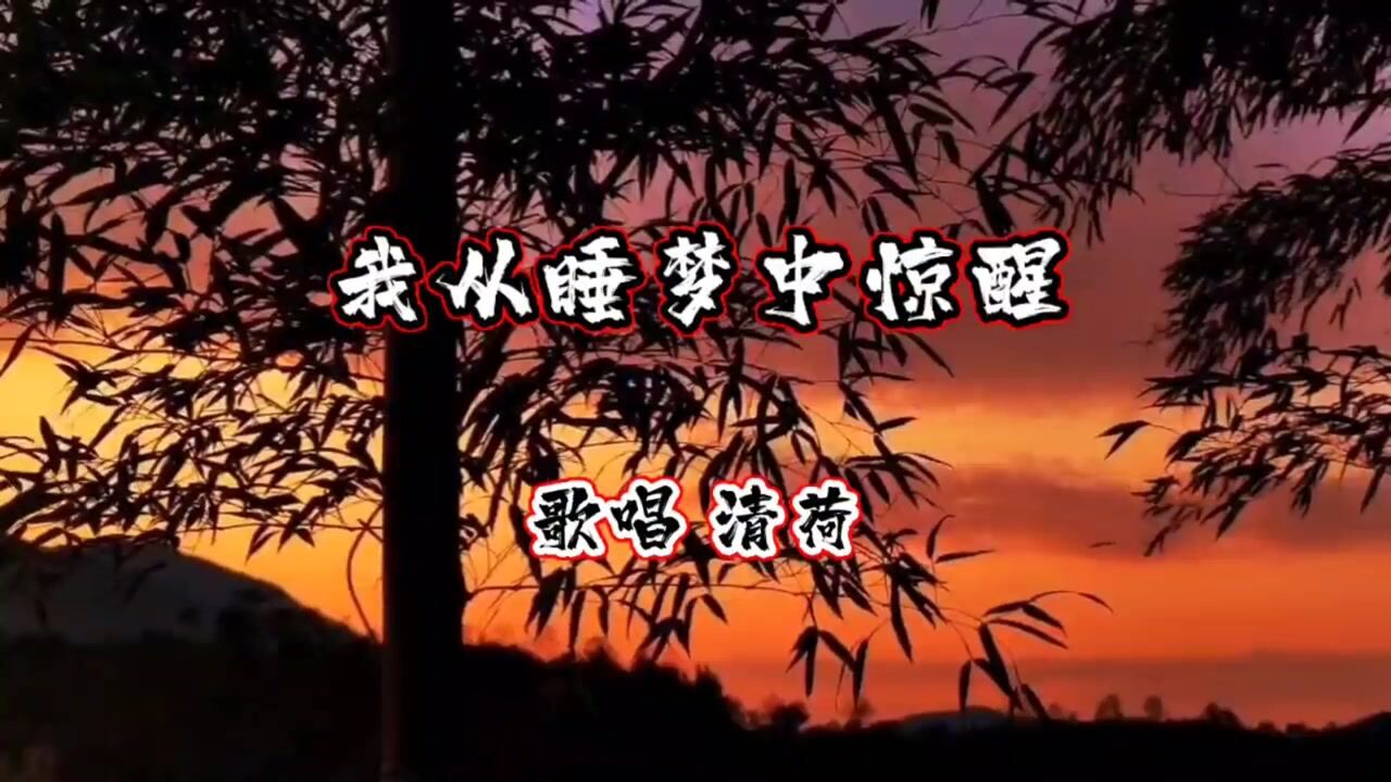 我从睡梦中惊醒(清荷)