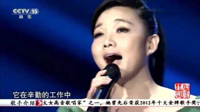 《幸福在哪里》演唱:王莉,热情向上充满正能量的歌曲!