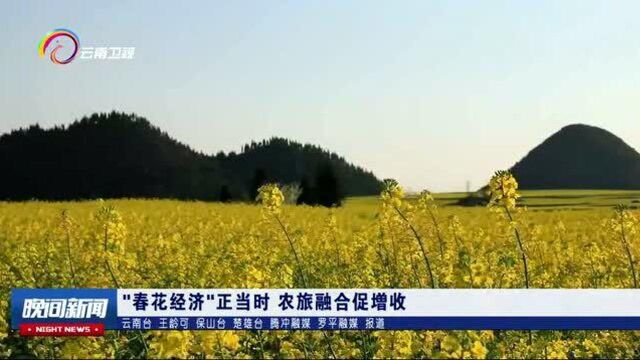 “春花经济”正当时 ,农旅融合促增收