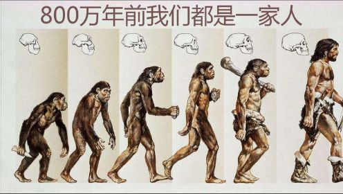 人类进化史表明，800万年前我们都是一家人，来自共同的祖先