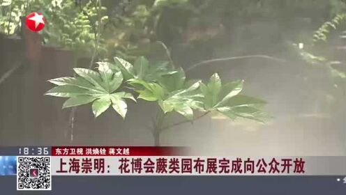 上海崇明：花博会蕨类园布展完成向公众开放