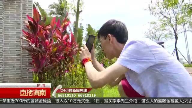 “五一”出游:“山水林田湖海”成就沙美游客沉醉“下次还要来”