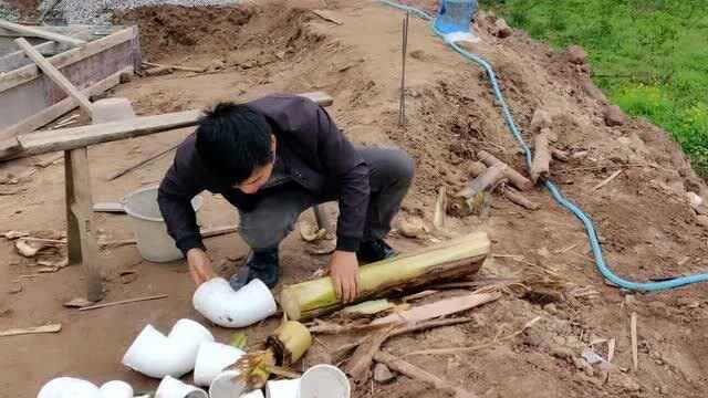 才知道芭蕉树还有这样的用处,修房子还能排上用场,你知道吗?