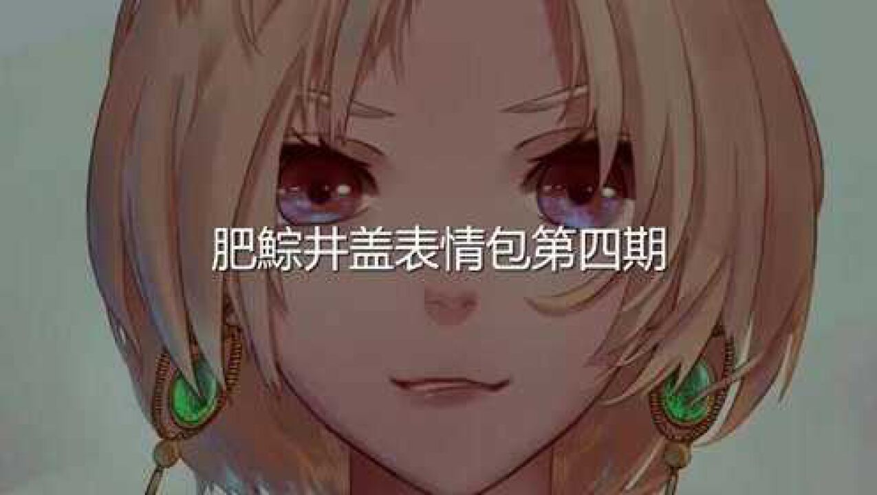 井盖肥鯮表情包合集(四)