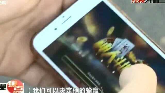 网络棋牌游戏为什么“只输不赢”