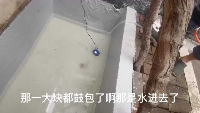 环氧地坪漆做鱼池防水,收获不一样的效果,不要效仿哦