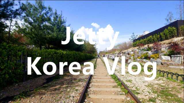 【Jetty韩国vlog】易买得仓储型超市/明太鱼籽酱面包/超性价比炸猪排/今年春天的第一个竹笋也是最后一个