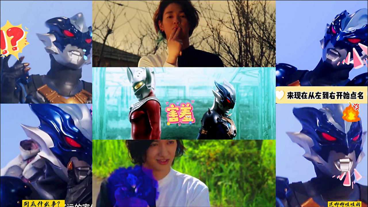 托雷基亚最全各种名梗盘点老托都快被网友们玩坏了