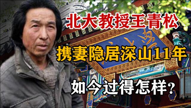 北大教授王青松,隐居深山当农民,11年花光350万积蓄,如今怎样