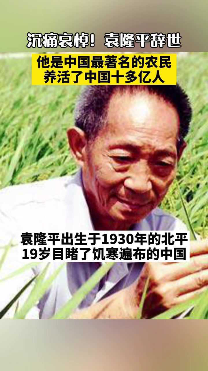 【视频】袁隆平有两个梦想，一个禾下乘凉梦，一个杂交水稻覆盖全球梦_高清