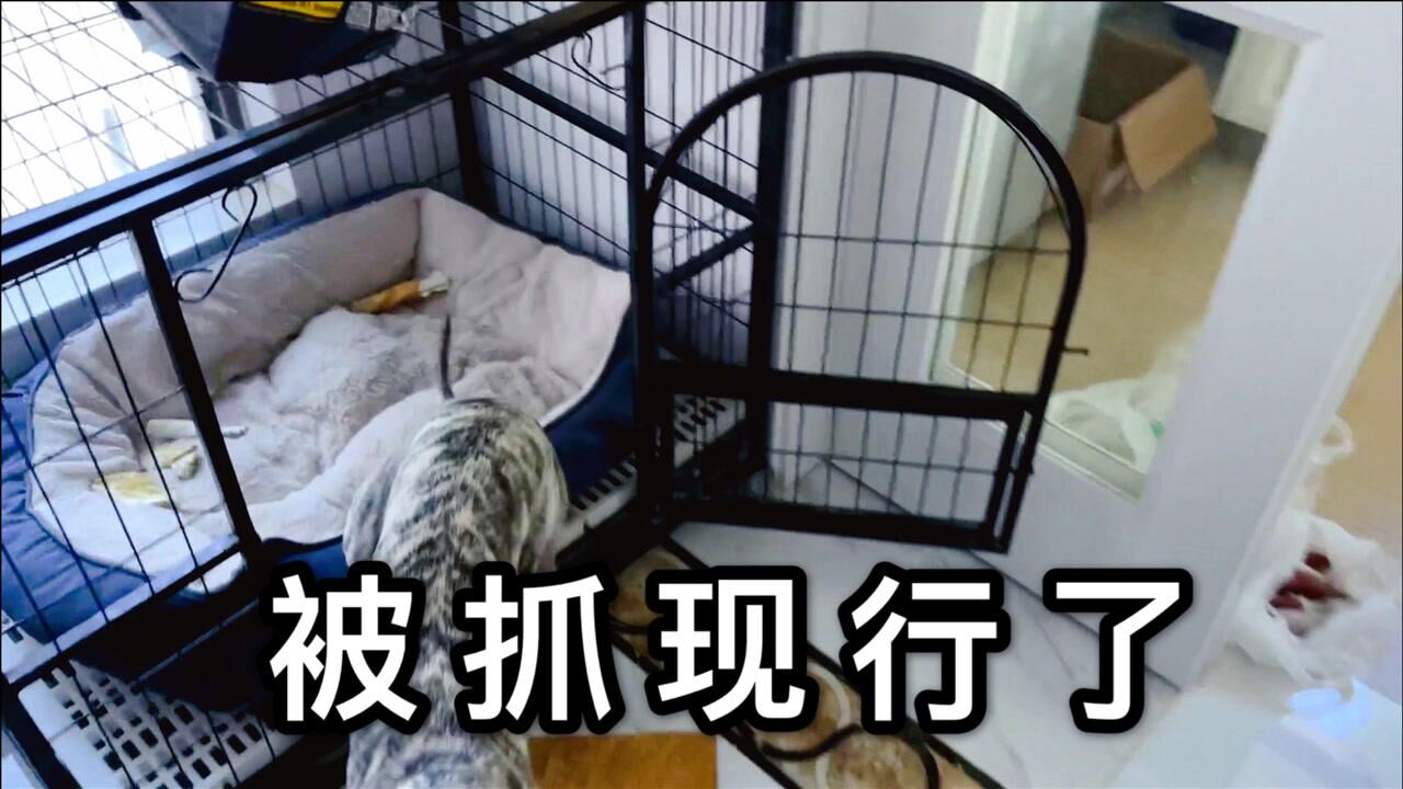萧山的农村夜景也很美很美，能吸引你来萧山生活吗？_高清1080P在线观看平台_腾讯视频