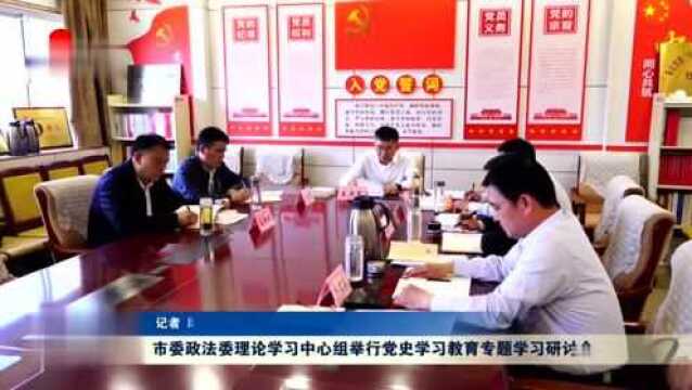 菏泽市委政法委理论学习中心组举行党史学习教育专题学习研讨会