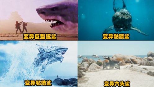 四部电影里的变异鲨鱼，上天下地无所不能！你觉得哪个鲨鱼更厉害呢？#电影种草指南#