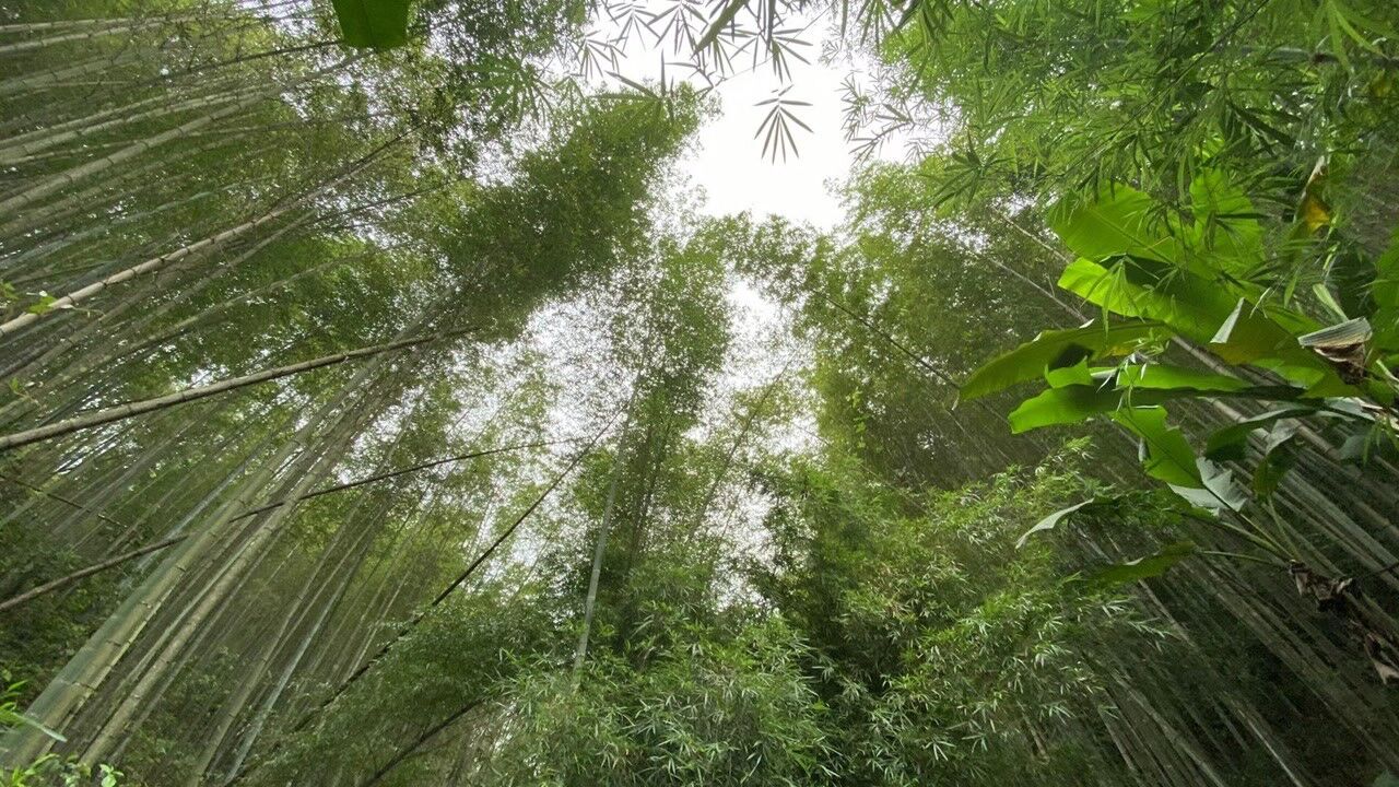 南昆山二坑村享一片自然与蓝天