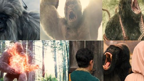 影视中这五种大猩猩，变异大猩猩太凶猛了，呆萌大猩猩搞怪一流