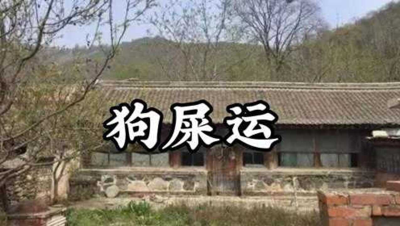 民间故事《狗屎运》