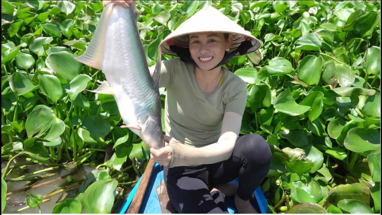 大嫂用芭蕉和饮料瓶捕鱼,一下午收获几十斤