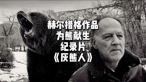爱熊之人死于灰熊之口，是意外还是自我献祭，纪录片《灰熊人》