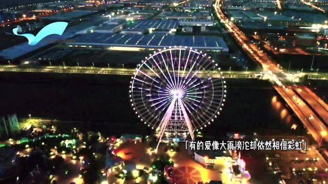 宁波杭州湾新区 献给每一个追光的你