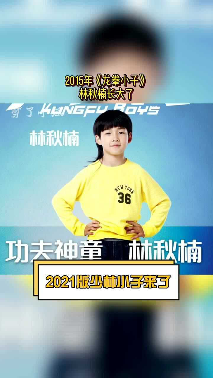 少林小子定档龙拳小子林秋楠长大了2021年版少林小子来了武术与跆拳道