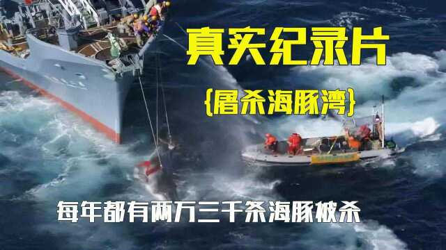 震惊世界的海豚湾屠杀,揭秘利益下人性的丑恶 ,真实拍摄纪录片#鹅创剪辑大赏 第二阶段#