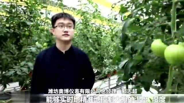 寒亭区(经济区):游戏里的新农业