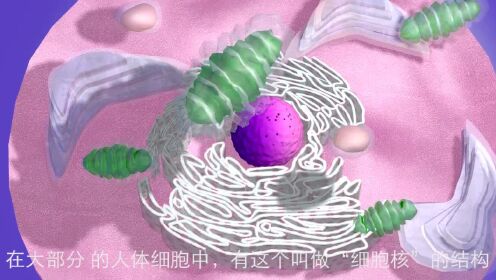 从DNA到蛋白质—转录和翻译 _腾讯视频