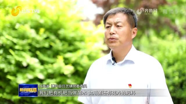 【牢记嘱托 扎实实施乡村振兴战略】博兴吕艺镇:产业“多点开花” 鼓起农民腰包