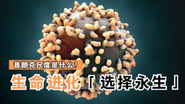 普朗克尺度是什么?生物进化只能繁衍,为啥不能永生?#“知识抢先知”征稿大赛#