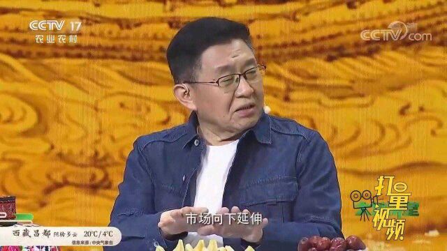 历朝历代的坊市制有何不同之处?听专家来给我们讲解