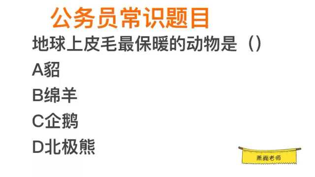 公考题目,地球上皮毛最保暖的动物是什么?