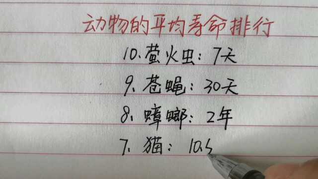 动物的平均寿命排行,海龟只有100多年,你知道最长的是什么吗