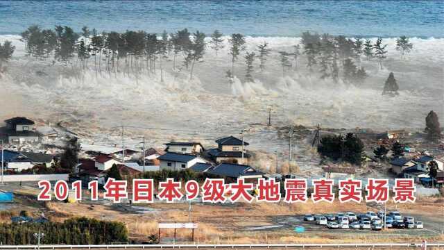 9级地震有多恐怖?这是2011年日本大地震真实场景,人类不堪一击