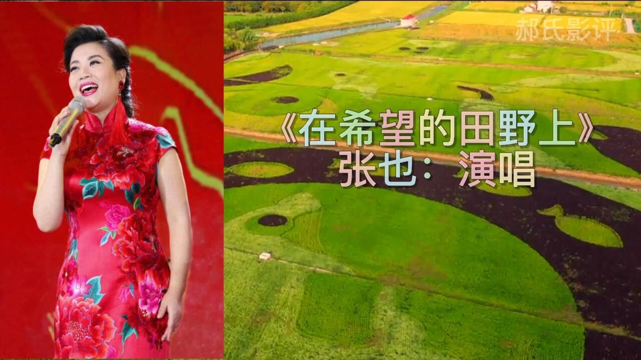 请欣赏知名老歌星张也演唱的经典老歌《在希望的田野上》,歌声嘹亮