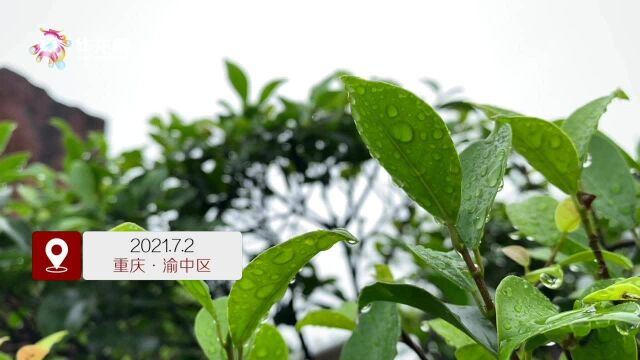 注意!未来三天雨水持续“营业” 重庆东北部及中部有强降雨