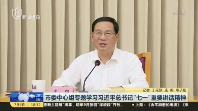 市委中心组专题学习习近平总书记“七一”重要讲话精神