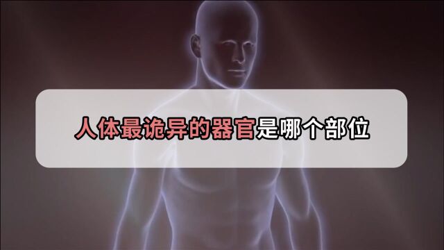 能在体外人工培养?人体超诡异的器官,还能区分爱人和陌生人