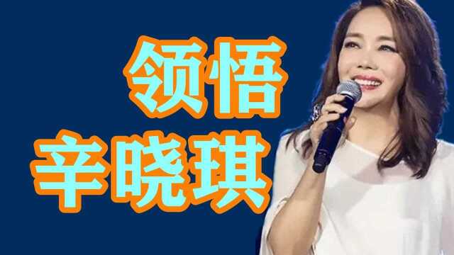 辛晓琪用半生经历演绎的这首《领悟》反正我是听哭了!