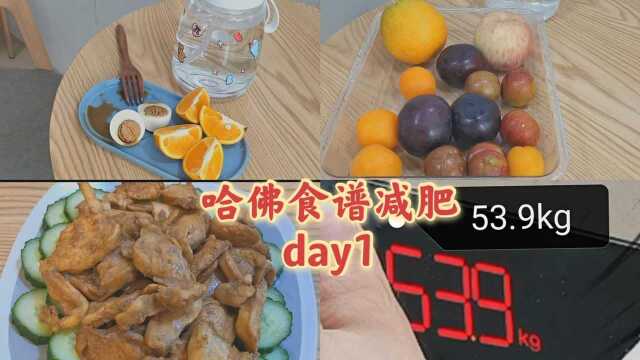 哈佛食谱减肥day1