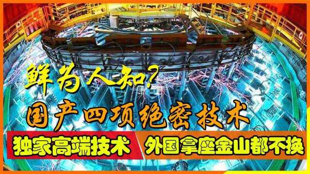 我国有四项绝密技术,独家高端技术,外国拿座金山都不换