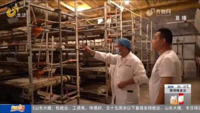 新泰建设自动化养殖棚舍,打造肉鸭养殖联合体,带领村民增收致富