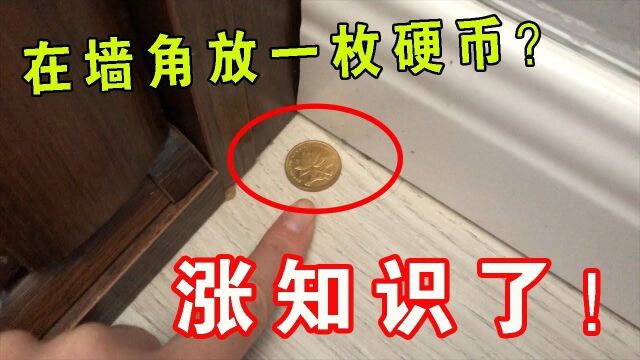 【生活小妙招】无论家里有没有钱,在墙脚放一枚五角硬币,涨知识了!#“知识抢先知”征稿大赛#