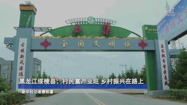 黑龙江绥棱县:村民富产业旺 乡村振兴在路上