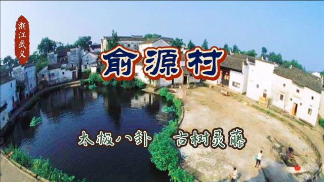 65 浙江武义 俞源村 太极八卦 古树灵藤