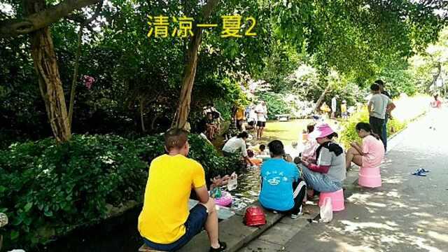 柳州附近 清凉一夏推荐2