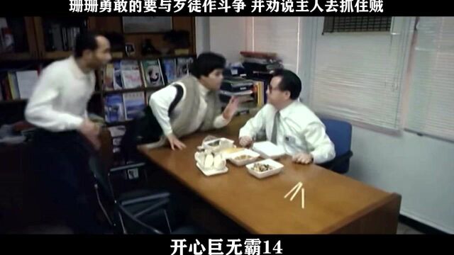 开心巨无霸14,珊珊勇敢的要与歹徒作斗争 并劝说主人去抓住贼