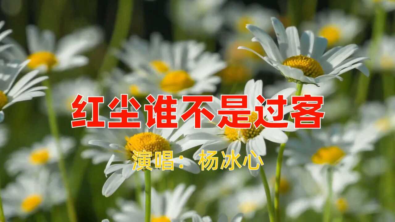 《红尘谁不是过客》杨冰心_腾讯视频
